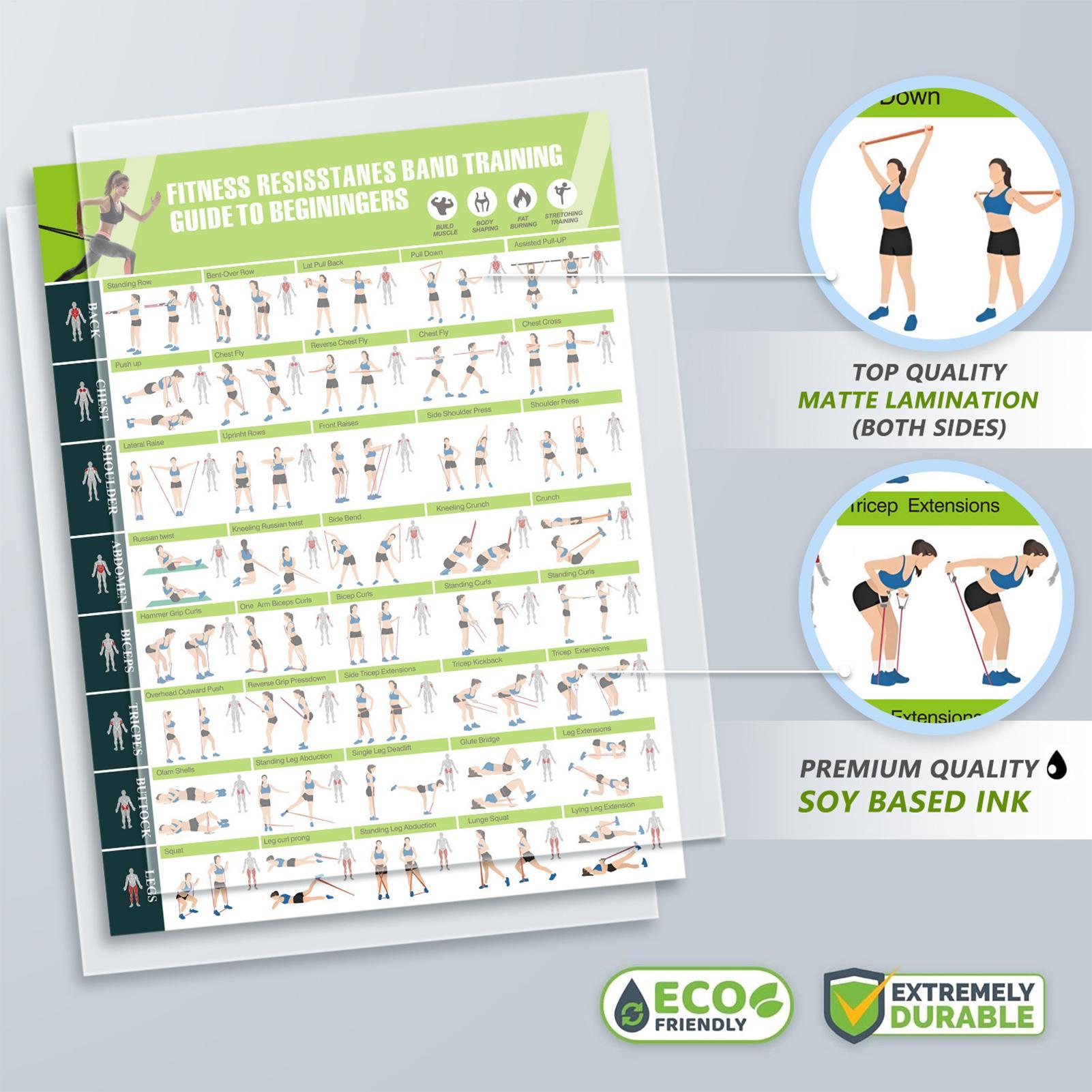 Exercise Posters Resistance Ba – обзор и цена Women Accessories Poster