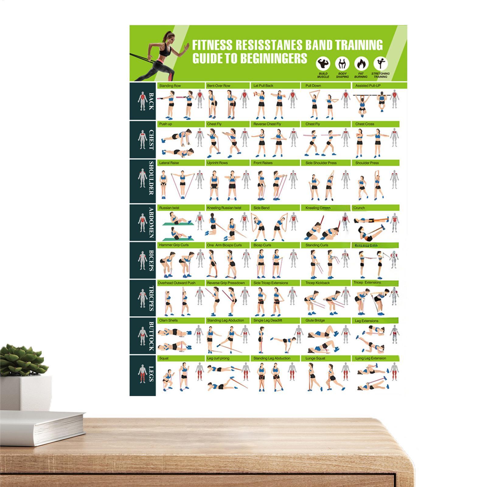 Exercise Posters Resistance Ba – обзор и цена Women Accessories Poster