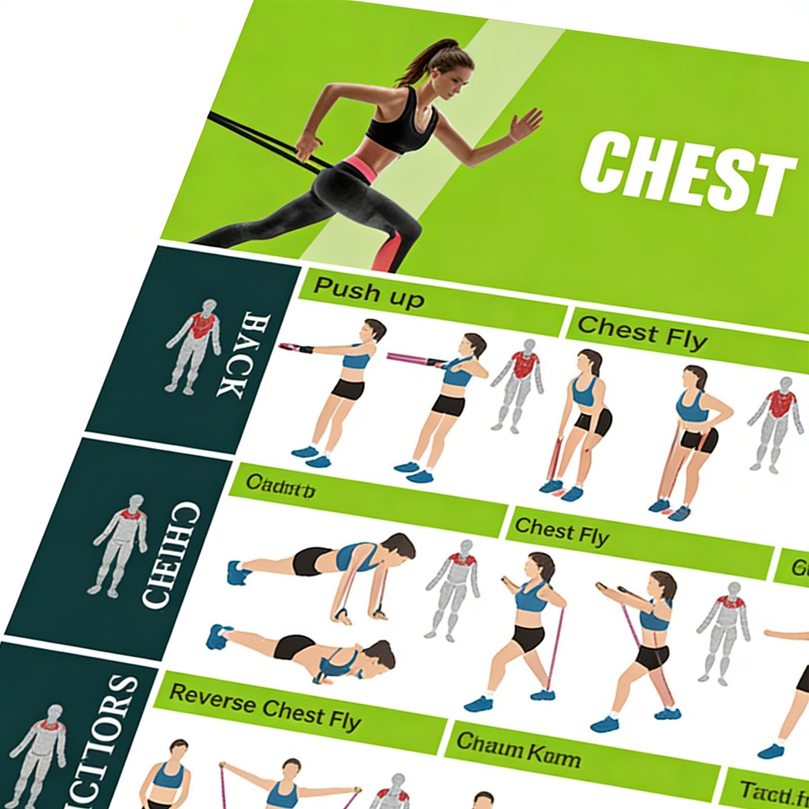 Exercise Posters Resistance Ba – обзор и цена Women Accessories Poster